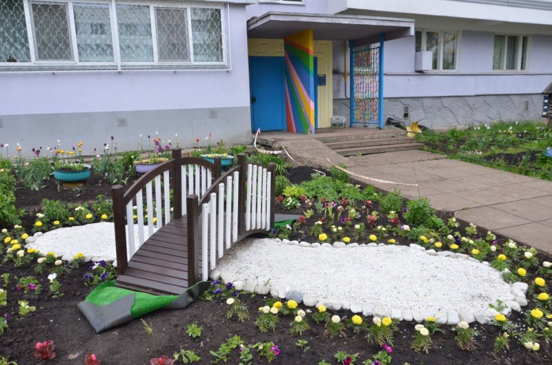 Палисадник многоэтажки грибы