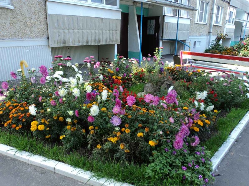 Компания лучший двор