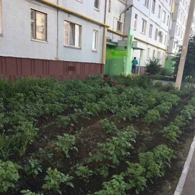 Лучший двор детского сада