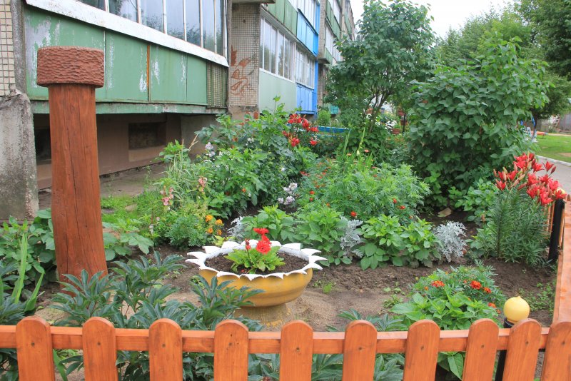 Огород во дворе многоэтажки
