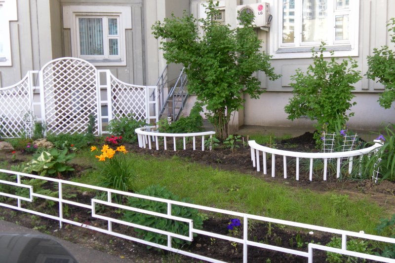 Многолетние растения возле подъезда