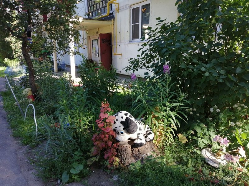 Городской палисадник