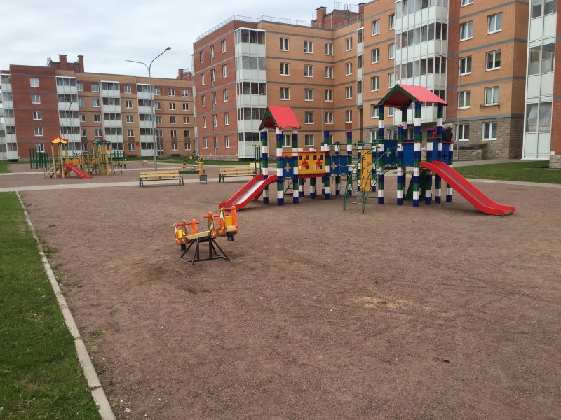 Озеленение территории двора