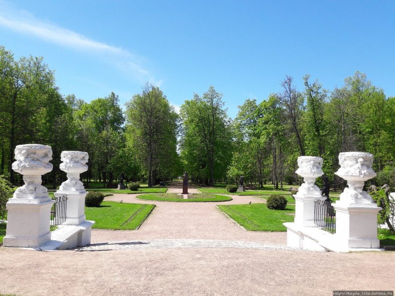 Усадьба Петровско-Разумовское парк