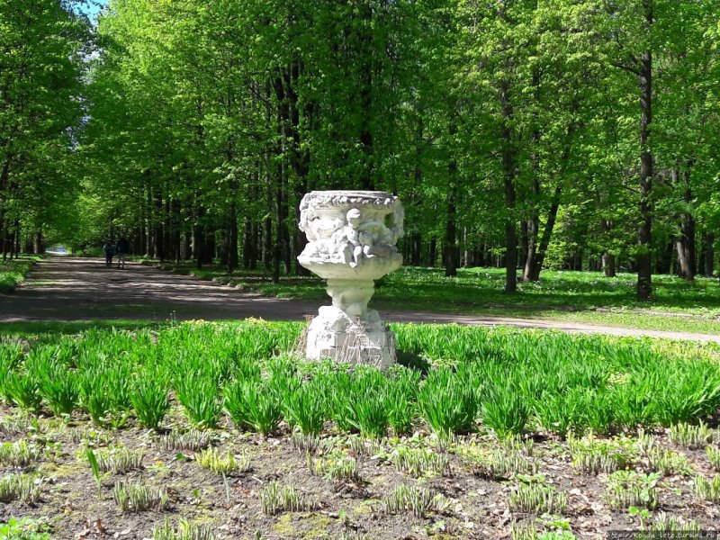 Усадьба в Тимирязевском парке