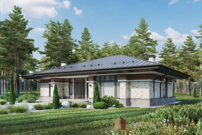 Barn House с плоской крыши
