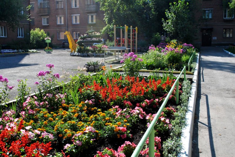 Клумбы у многоквартирного дома