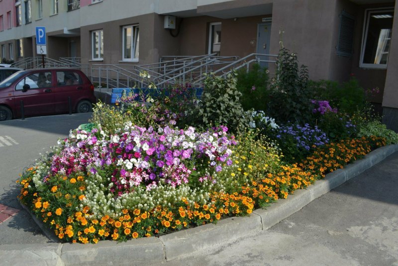 Цветочная клумба у подъезда
