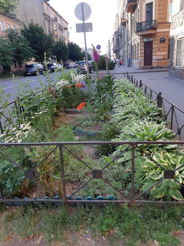Палисадник Пушкино Крылова