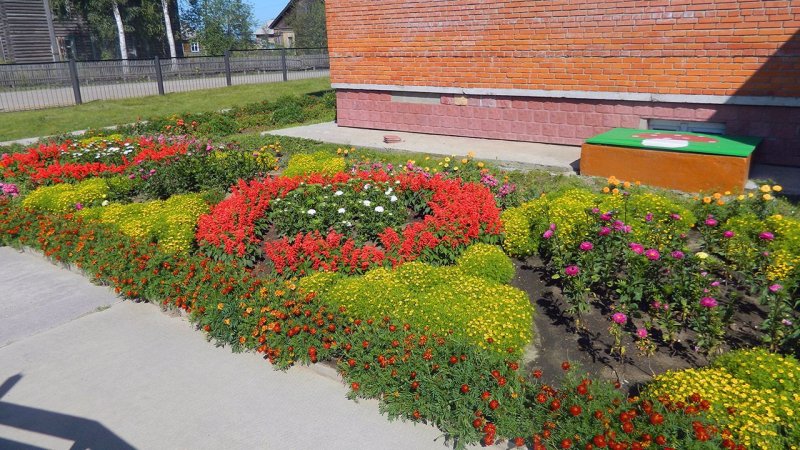 Благоустройство клумб