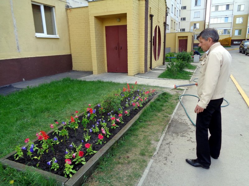 Идеи фотосета с цветами во дворе многоквартирного дома