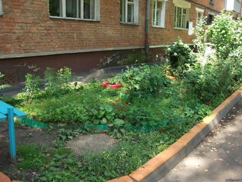 Газон у многоквартирного дома