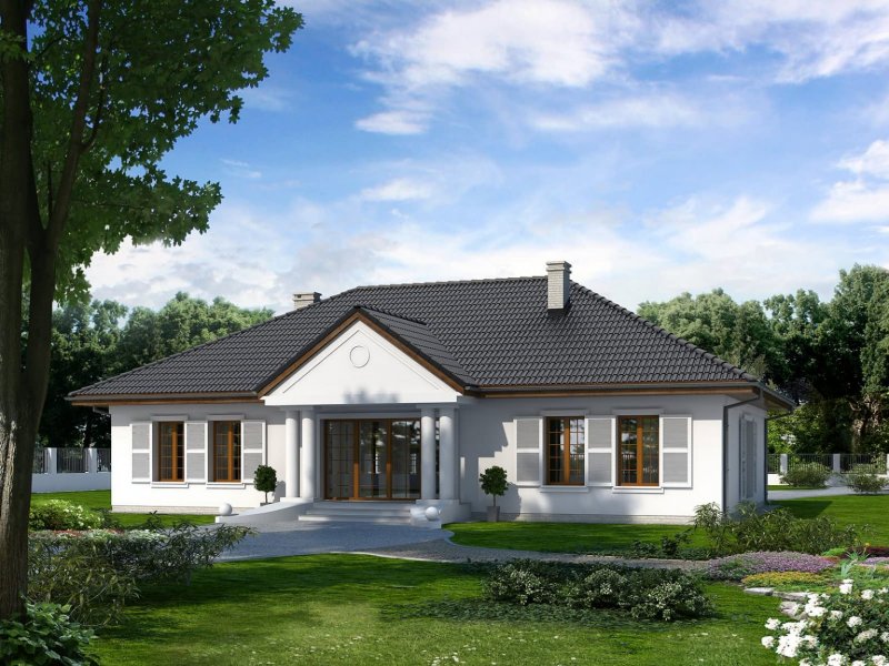 1 Story House