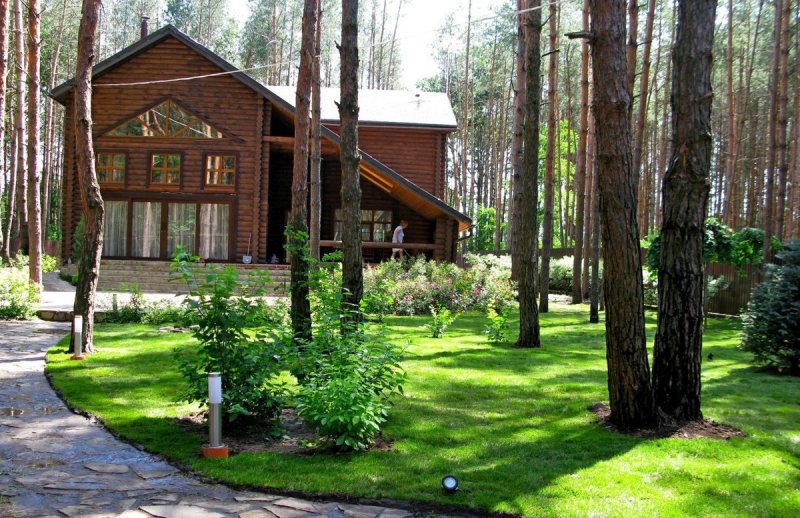 Планировка участка с соснами