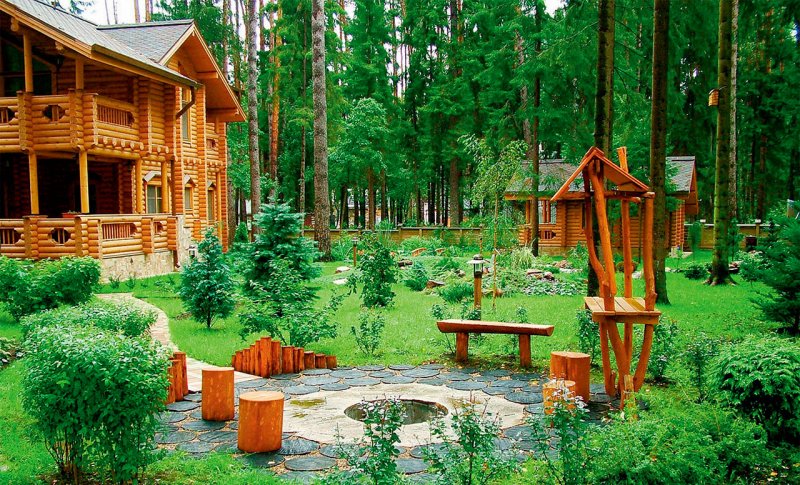 Ландшафт участка с соснами