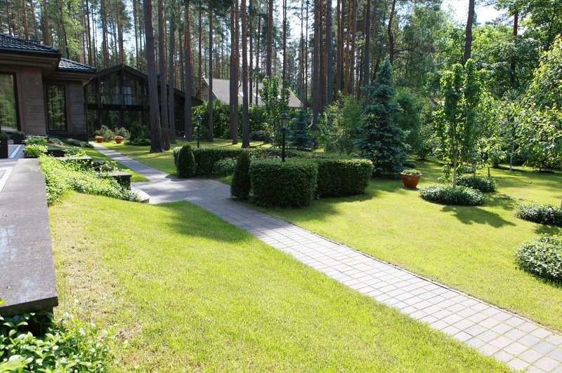 Ландшафт участка 30 соток лучшие проекты