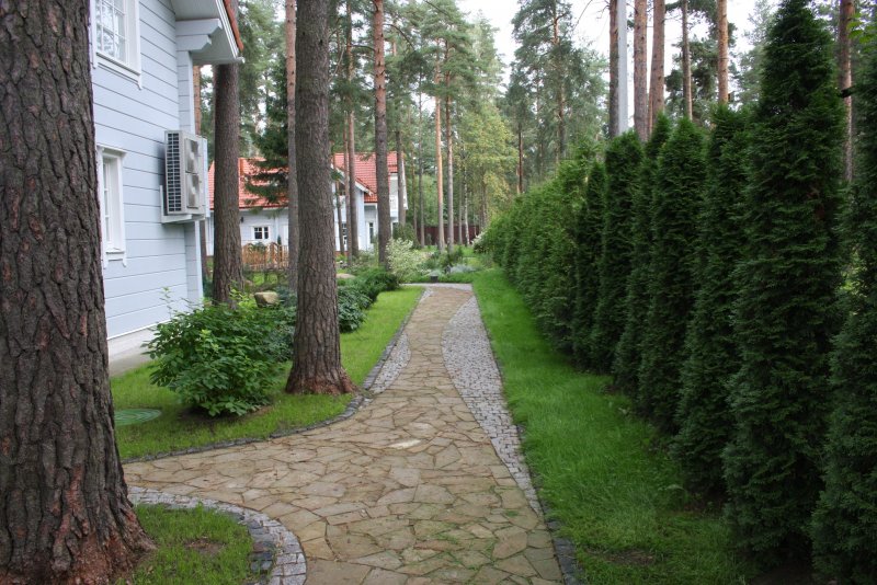 Ландшафт участка в Сосновом Бору
