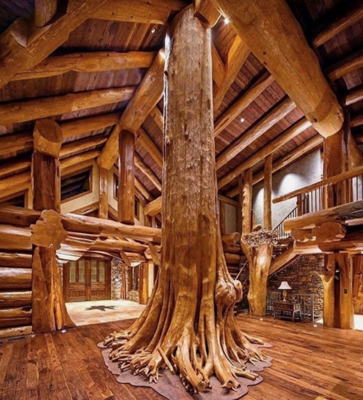 Pioneer log