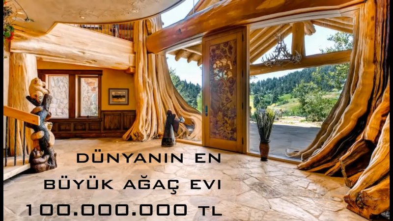 Пайонир дома из дерева