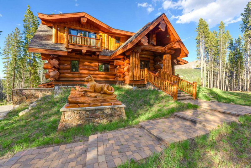 Pioneer log
