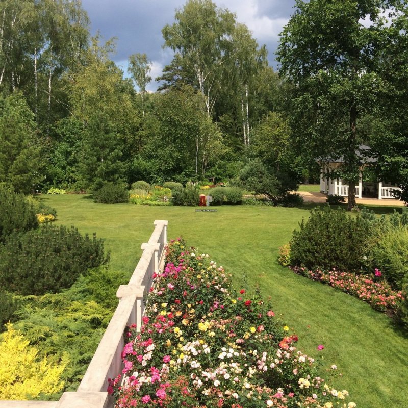 Абрамцево ландшафт парка