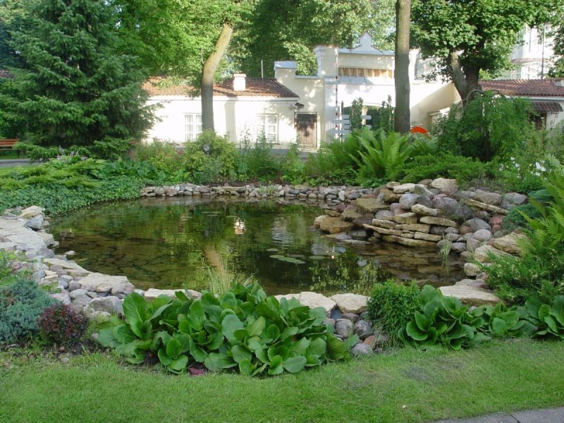 Не искуственные водоёмы