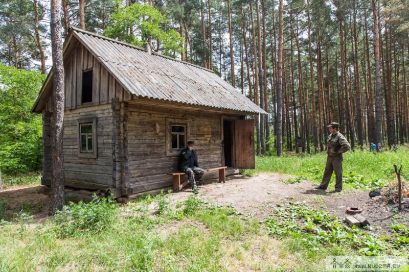Домик лесника в лесу и Лесник