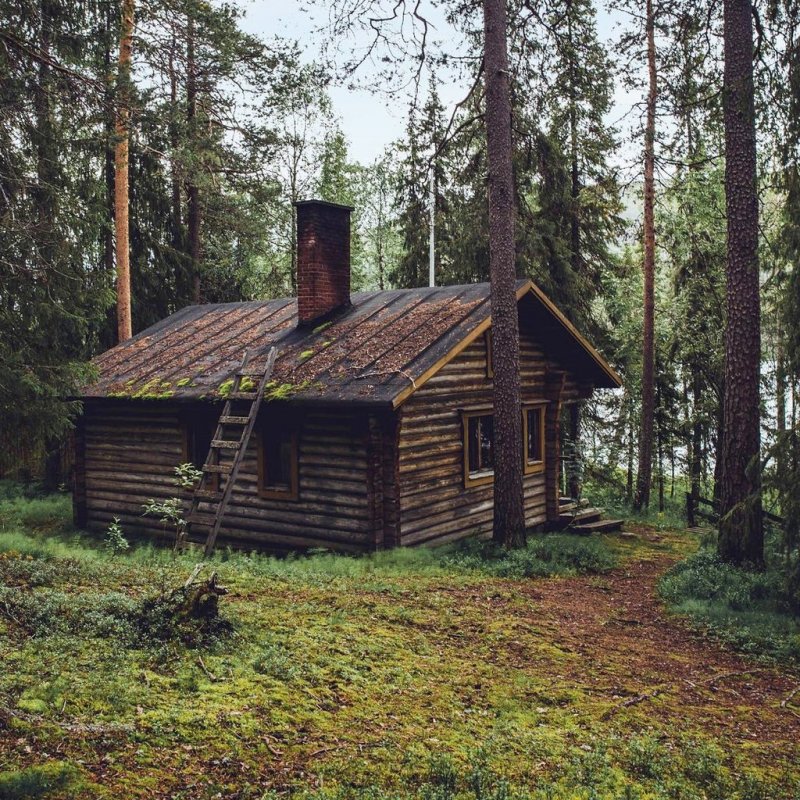 Домик лесника в лесу и Лесник