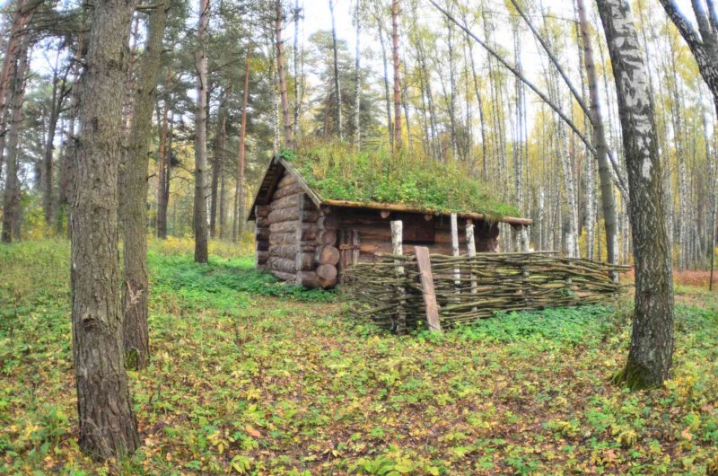 Сторожка лесника