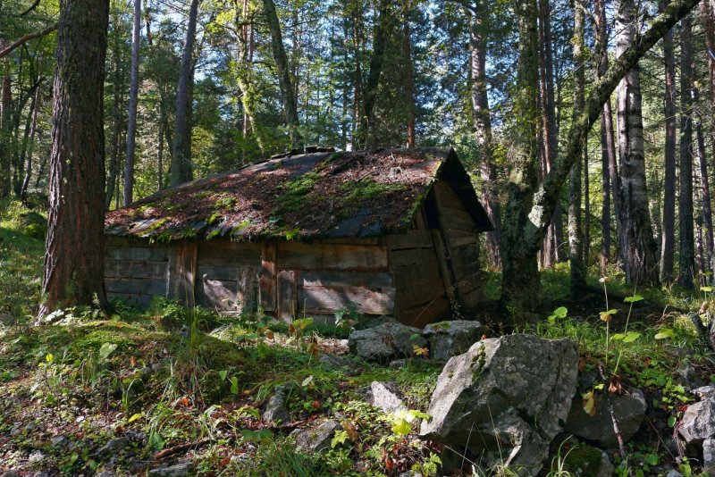 Сторожка лесника