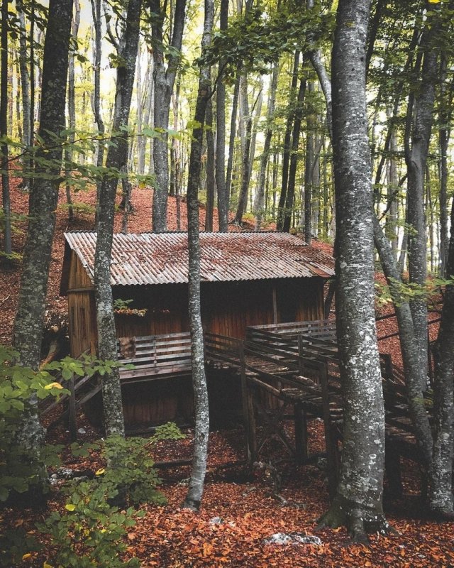 Домик лесника на олимпийской аллее фото