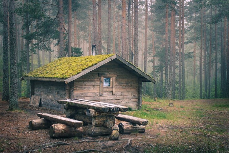 Лесная избушка в тайге