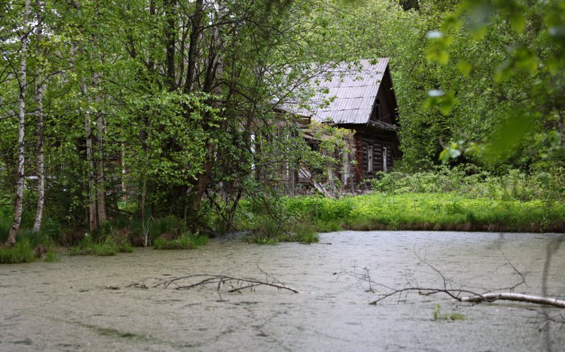 The Cabin in the Woods Хижина