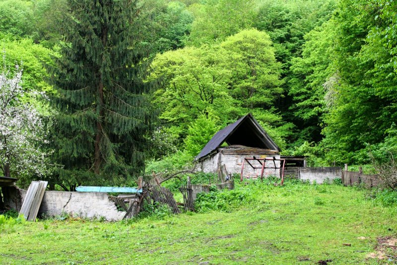 Кангас домик лесника