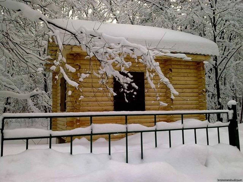 Заброшенный домик в лесу