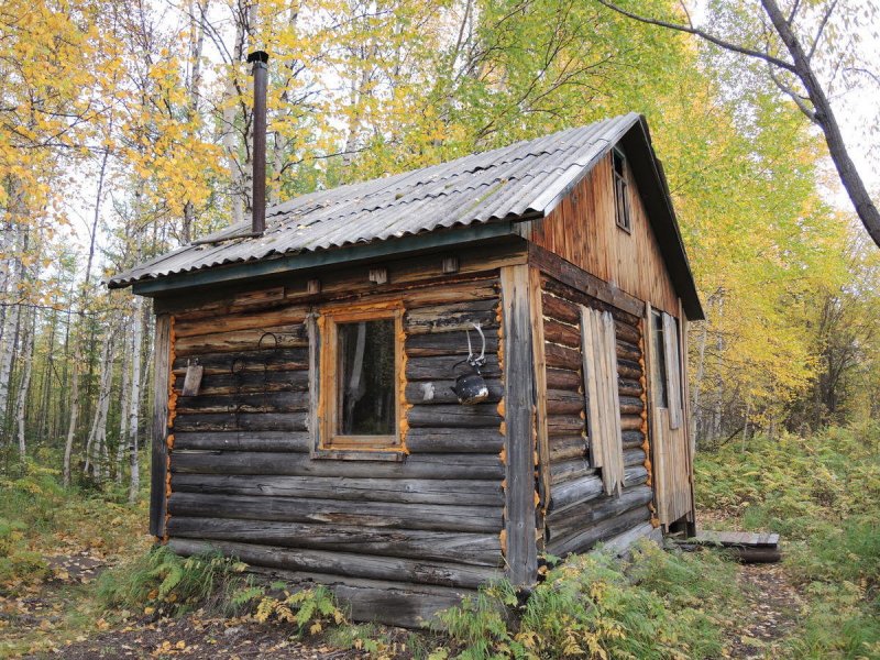Лесные охотничьи избушки