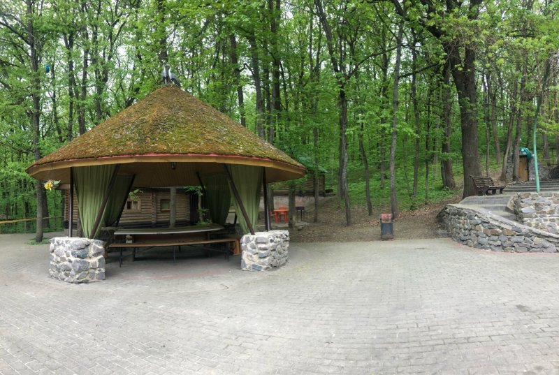 Хижина в лесу дом