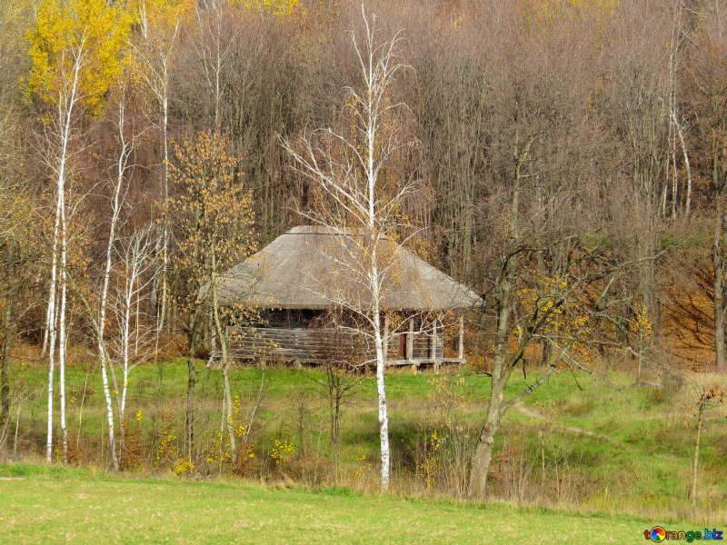 Домик лесника зимой