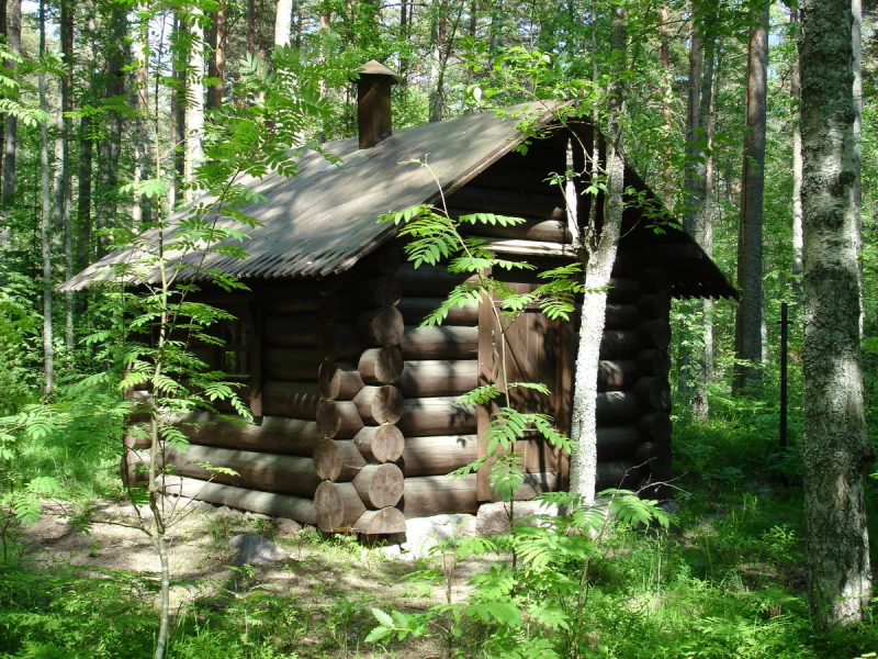 Дом лесника Орловское Полесье