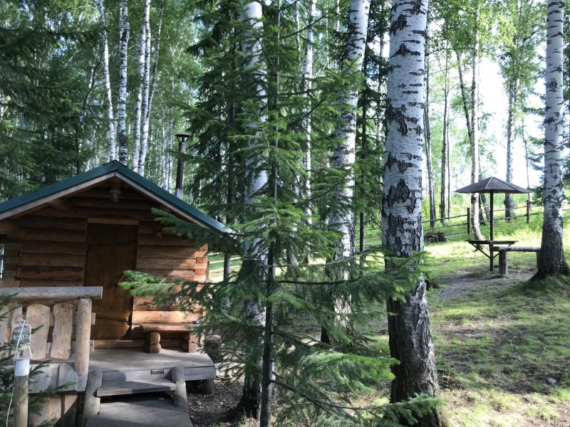 Домик лесника Полесский район Сосновка