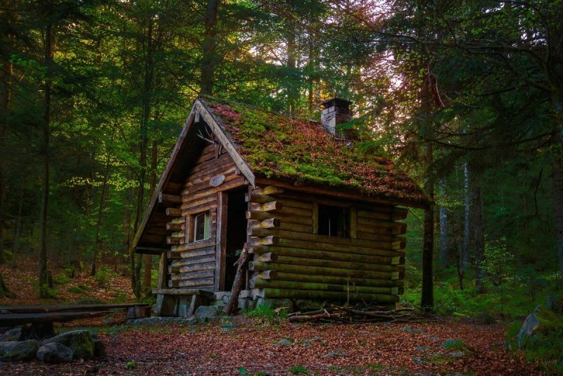In the Cabin Woods Хижина в лесу Cabin