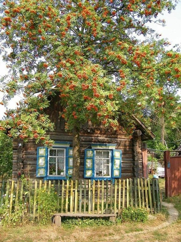Маленький старый домик в деревне