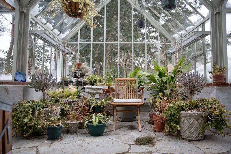 Оранжерея / the Greenhouse