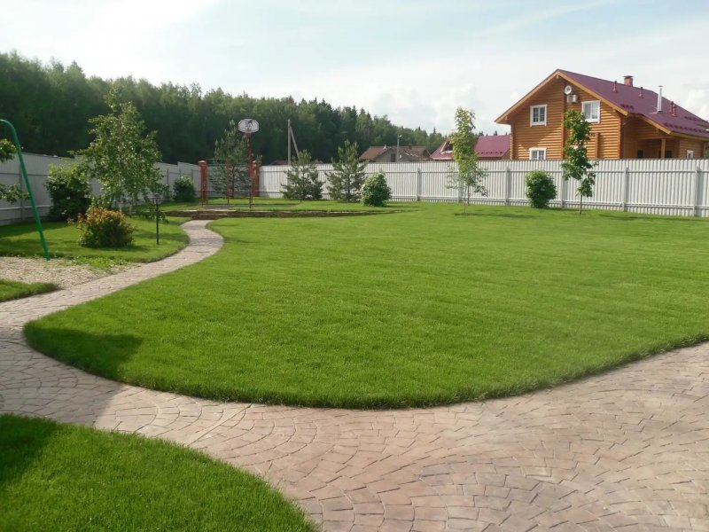 Ландшафт дачного участка