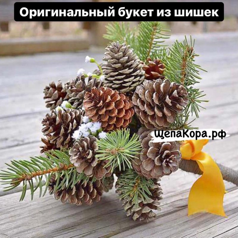 Поделки из шишек