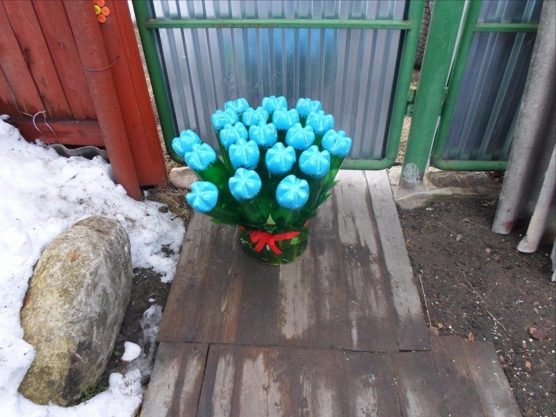 Кактус из бутылок