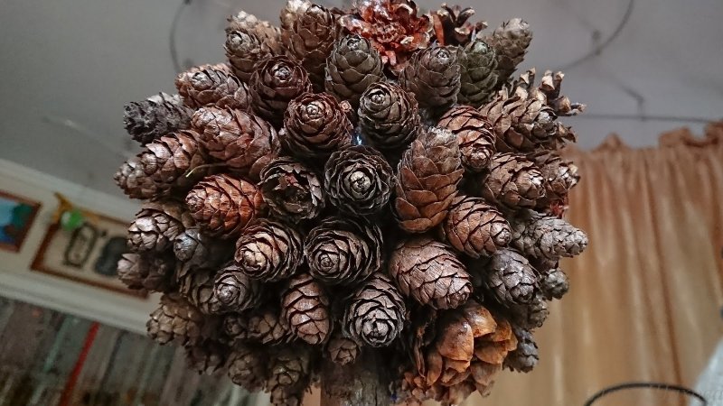 Букет из еловых шишек