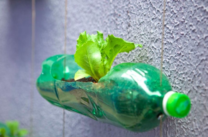 Plastic Bottle recycle