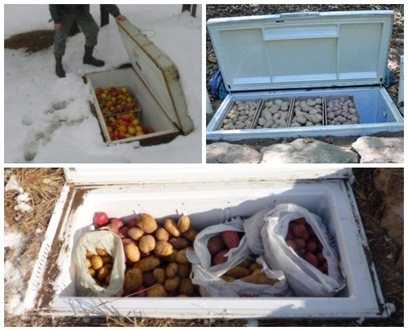 Погребок из холодильника
