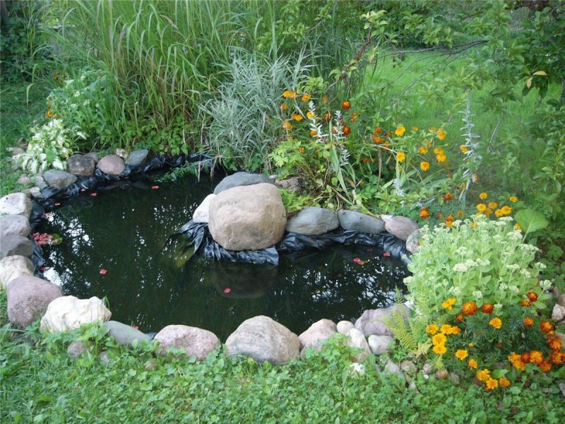 Хелен парк+ ландшафт